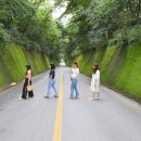 낭만느림보 이미지