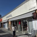 구만내 | 인천 파충류샵 청라 크레리즘 도마뱀 분양 후기