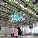 정우농장 이미지