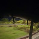 에그드랍 수영점 | 보홀 감성 숙소 라 카사 디 베아트리 장단점 후기