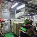 안의청과 이미지