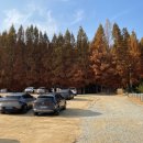 멍레스트 이미지