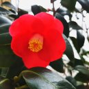 더 스테이 송도 이미지