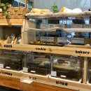 페따미꼬 이미지