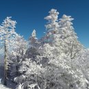 2024년 1월신년산행 덕유산 향적봉1,614m 이미지