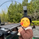 아임봄 | 🍎 [내돈내산] 아임 과일즙 3종 리얼 후기 : 배도라지·사과당근·사과즙 뽀개기!