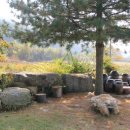 광덕농원 이미지