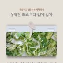 싱싱과일채소