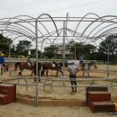 화랑초등학교 이미지