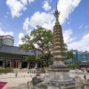 지식의 여정 이미지