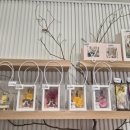 연이플라워 이미지