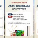 파티오7 이미지