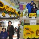 무등장애인자립생활센터 이미지