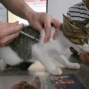 한마음종합동물병원 이미지