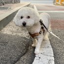 수고하고 무거운 짐진 자들이 오라고 한적도 없는데 갑자기 저한테 왔어요;