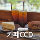 CCD 마산댓거리점