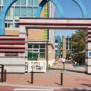 일산양일중학교 이미지