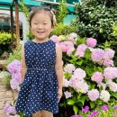 새나래유치원 이미지