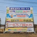금성광고기획 - 군산시 | 금성광고기획
