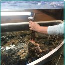 풍차횟집 이미지