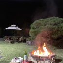 오크빌민박 | [전주근교]담양 애견동반 여행! 에어비앤비 숙소 오크빌에서 1박!