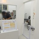 꾸미독 동탄애견미용 이미지