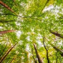 생림한의원 이미지