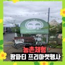 떡머슴 | 보리떡머슴과 커피마님의 농촌체험 팜파티 프리마켓행사 참여 후기