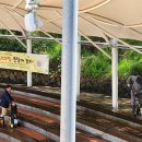 수봉은율탈춤전수관 | 2025년 은율탈춤 추모제, 그리고 성묘 다녀온 이야기 / 은율탈춤 공연 안내