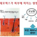 닥터큐화장품