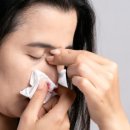 철철닷컴 이미지