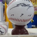 선수수산 이미지