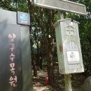 동면 숨골로 강원 Daum카페