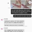 최동물병원 | 에코 동물병원 후기_크레스티드 게코 에그바인딩 수술 후 재봉합, 타 동물병원과의 차이점