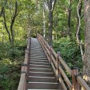 주정차단속-59 | 국내 가을여행지 추천] 경북 문경 가볼만한 곳 :: 문경 출렁다리