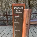 소통의 조화 네이버블로그
