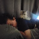 압구정동물의료센터 이미지