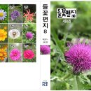 들꽃편지 이미지