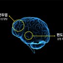 휴먼솔루션