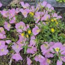 기계봉좌마을 이미지