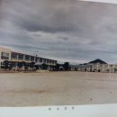 문막초 취병분교장 이미지