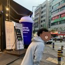 대전브라운도트 월평점 이미지