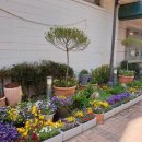 충장로-3 이미지