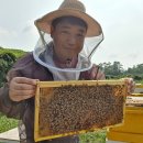 손병곤 농장 이미지