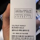 셀트러스트랩 이미지