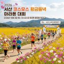 바다랑들녘이랑 | 2026 서산 코스모스 황금들녘 마라톤 참가비·신청방법·시상금 총정리 | 5km 유아 참가 가능