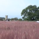 어반스케치, 여행스케치 이미지