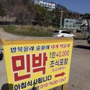 뭐먹을래 | [내돈내산/먹쓰후(먹어보고쓰는후기)/ 영덕 밥묵을래 술물래 대게 먹을래 식당. 민박]