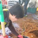 삼공주농장 네이버블로그