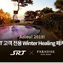 파라다이스호텔 이미지